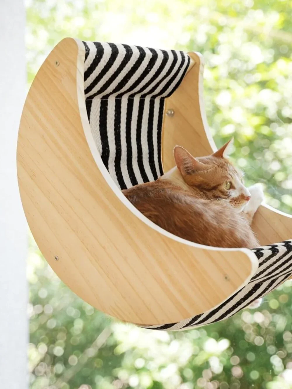 HAPYKITYS Cat Window Perch, Plywood Moon Bed with 4 Heavy-Duty Suction Cups